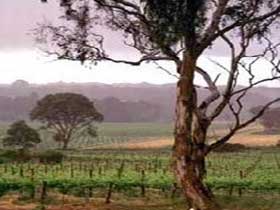 Mcharg Creek SA New Castle Tourism