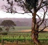 Yangarra Estate Vineyard - New Castle Tourism
