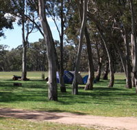 Black Cockatoo Bush Camp