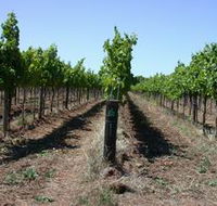 Temple Bruer Winery - New Castle Tourism