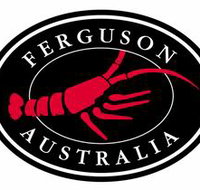Ferguson Australia Pty Ltd