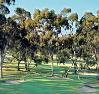 Tanunda Pines Golf Club - Newcastle Accommodation
