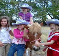Amberainbow Pony Rides - Newcastle Accommodation