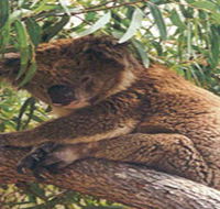 Mikkira Station - Newcastle Accommodation