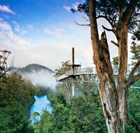 Tahune Adventures Tasmania - New Castle Tourism