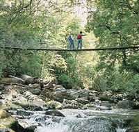 Arve Forest Drive - New Castle Tourism