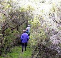 Jack And Hilda McArthur Walk - Newcastle Accommodation