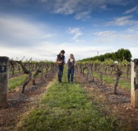 Coonawarra Wineries Walking Trail - New Castle Tourism