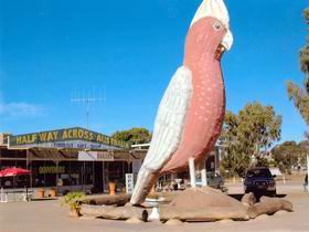 Kelly SA New Castle Tourism