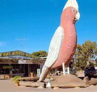 The Big Galah - New Castle Tourism