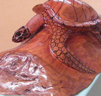 Ants Redgum Gallery - Newcastle Accommodation