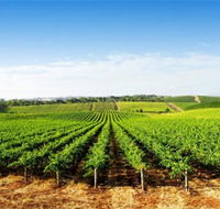 Aldinga Bay Winery - Newcastle Accommodation