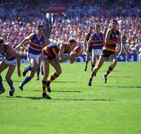 AAMI Stadium Tours - Newcastle Accommodation