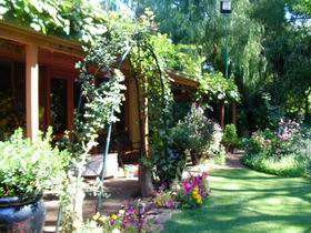 Rainforest Retreat - New Castle Tourism 0