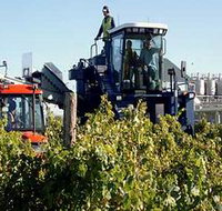 Ballast Stone Estate Wines Pty Ltd