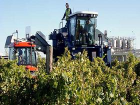 Ballast Stone Estate Wines Pty Ltd - Newcastle Accommodation 0