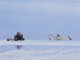 Point Turton Ceramic Art - Newcastle Accommodation 0