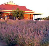 Bella Lavender Estate - New Castle Tourism