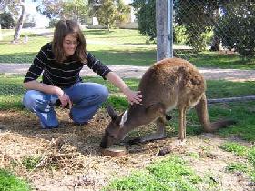 Pendleton Farmstay - Newcastle Accommodation 0