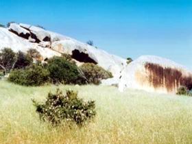 Ucontitchie Hill - Newcastle Accommodation 0