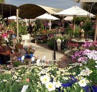 Serenity Nursery - New Castle Tourism