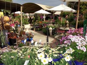 Serenity Nursery - New Castle Tourism 0