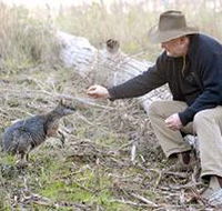 Sinclair's Gully - Newcastle Accommodation