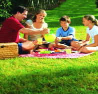 Bruny Island Berry Farm - New Castle Tourism
