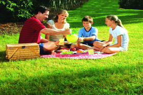 Bruny Island Berry Farm - Newcastle Accommodation 0