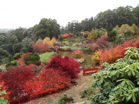 Emu Valley Rhododendron Garden - New Castle Tourism 0
