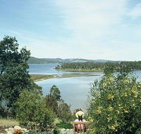 Inverawe Native Gardens - New Castle Tourism