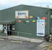 Stanley Seaquarium - New Castle Tourism