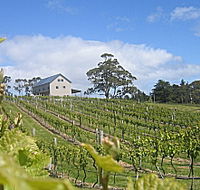 Bruny Island Premium Wines Bar and Grill - New Castle Tourism