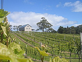 Bruny Island Premium Wines Bar And Grill - Newcastle Accommodation 0