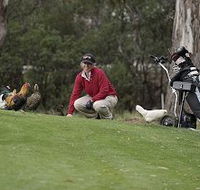 Tasmania Golf Club - The - New Castle Tourism