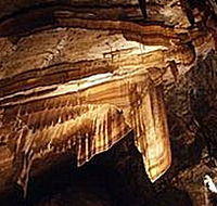 Gunns Plains Cave - Newcastle Accommodation