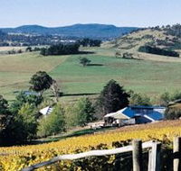 Freycinet Vineyards Pty Ltd - New Castle Tourism
