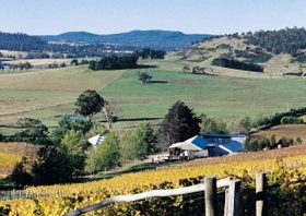 Freycinet Vineyards Pty Ltd - New Castle Tourism 0