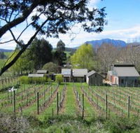 Wilmot Hills Vineyard - New Castle Tourism