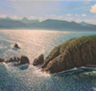 Colville Street Art Gallery - New Castle Tourism