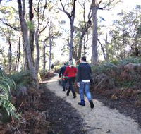 Bridport Walking Track - New Castle Tourism