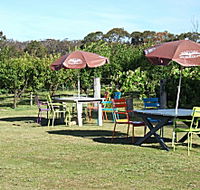 Cerise Brook Orchard  Family Golf - New Castle Tourism