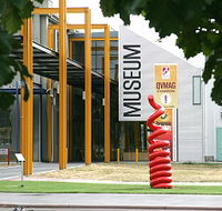 Queen Victoria Museum and Art Gallery - New Castle Tourism