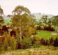 The Tasmanian Arboretum - New Castle Tourism