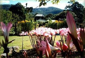 Blueberry Cottage Open Gardens - New Castle Tourism 0