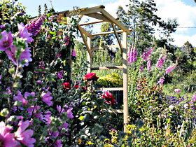 Thelma Retreat Garden And Teahouse - New Castle Tourism 0