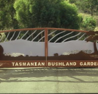 Tasmanian Bushland Garden