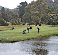 Penguin Golf Course - New Castle Tourism