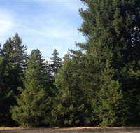 Pialligo Redwood Forest - Newcastle Accommodation