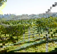 Surveyor's Hill Vineyards - New Castle Tourism
